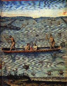 Th. de Bry